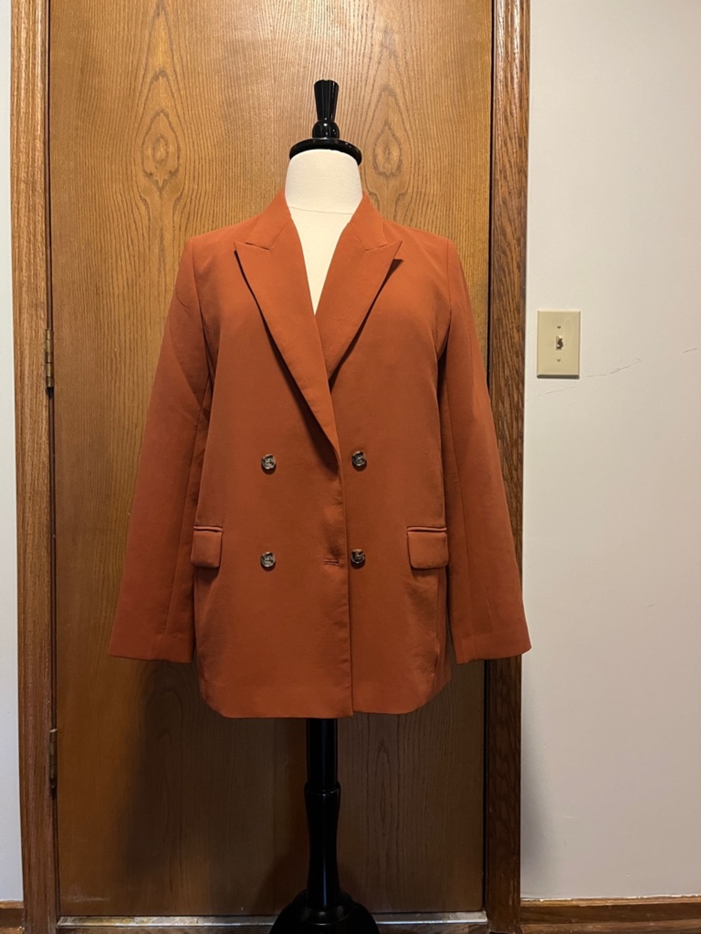 Aritzia Double-Breasted Rust Blazer
